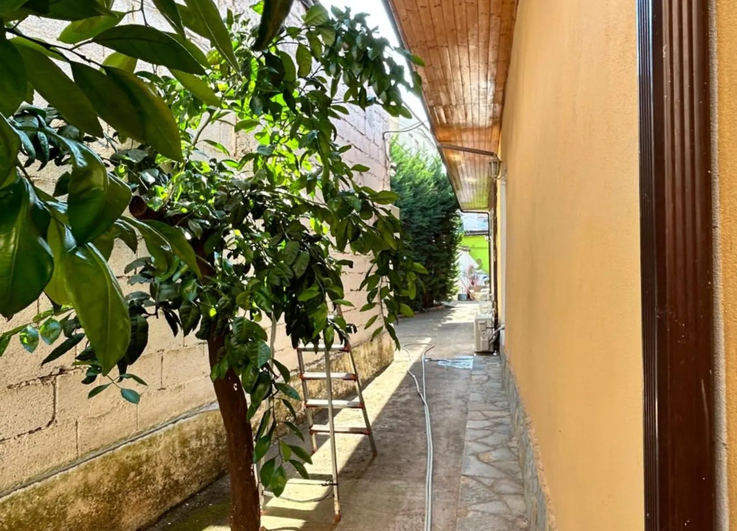 D1 Hostel Tirana